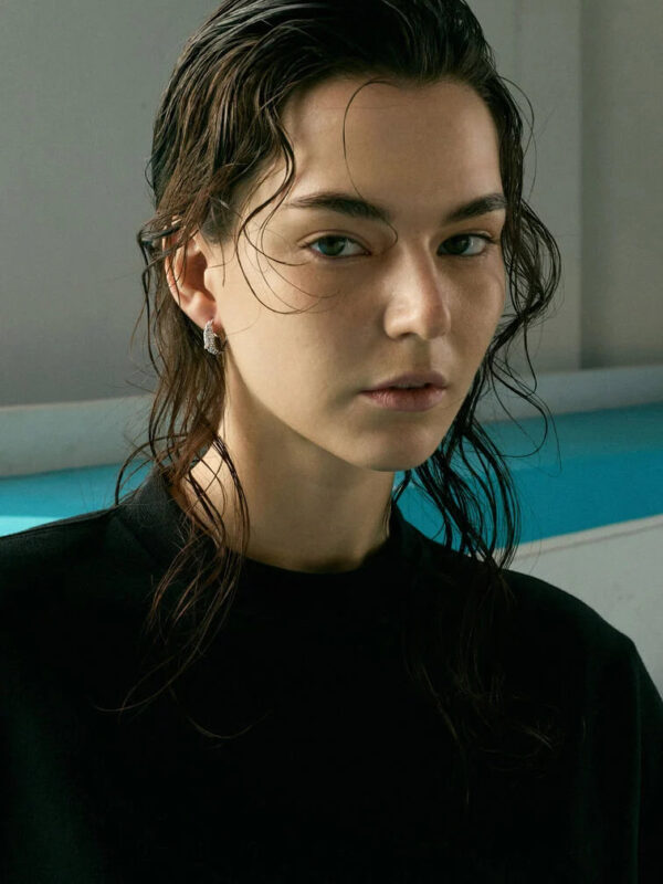 Delfina 水晶海豚耳環 - 銀色
